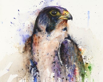 PEREGRINE FALCON Watercolor Print by Dean Crouser