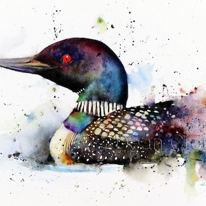 LOON Watercolor Bird Art Print, Loon Watercolor, Bird Painting, by Dean Crouser image 1