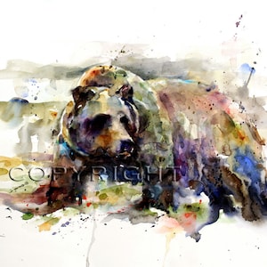 GRIZZLY BEAR Watercolor Print by Dean Crouser