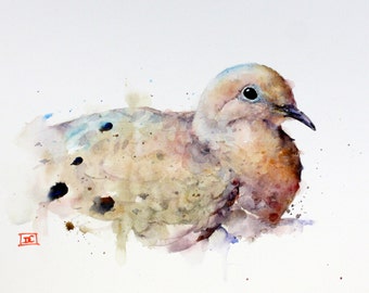 May include: Watercolor painting of a mourning dove with brown, white, and blue feathers. The dove is looking to the right of the image.