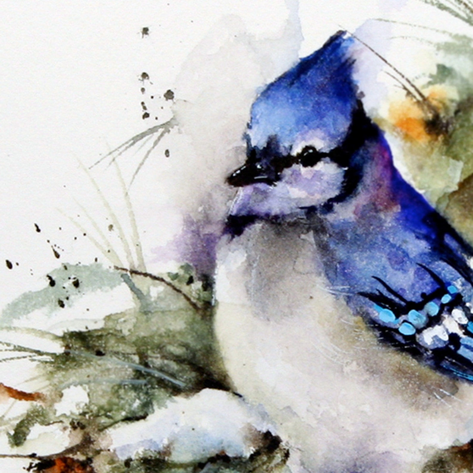 BLUE Jay Winter Watercolor Bird Art Print by Dean Crouser - Etsy UK