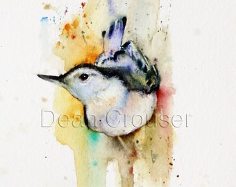 WHITE BREASTED NUTHATCH Watercolor Print by Dean Crouser