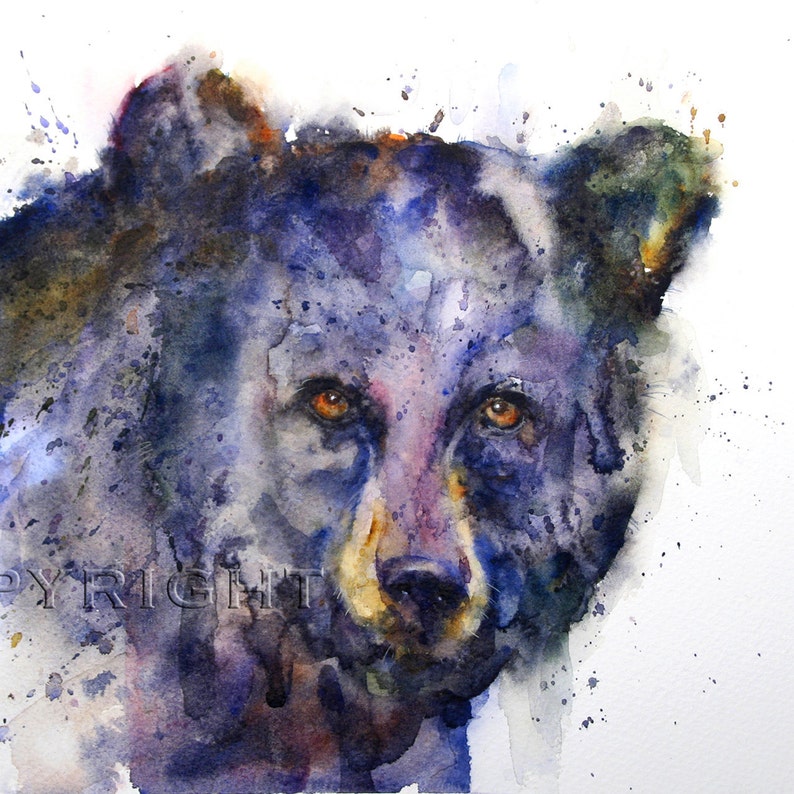 BLACK BEAR Watercolor Art Print by Dean Crouser image 2