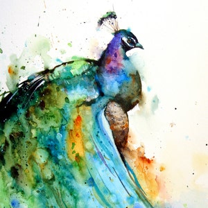 PEACOCK Watercolor BIRD Print, Bird Art by Dean Crouser image 2