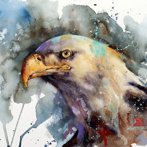 BALD EAGLE Watercolor Bird Print by Dean C rouser