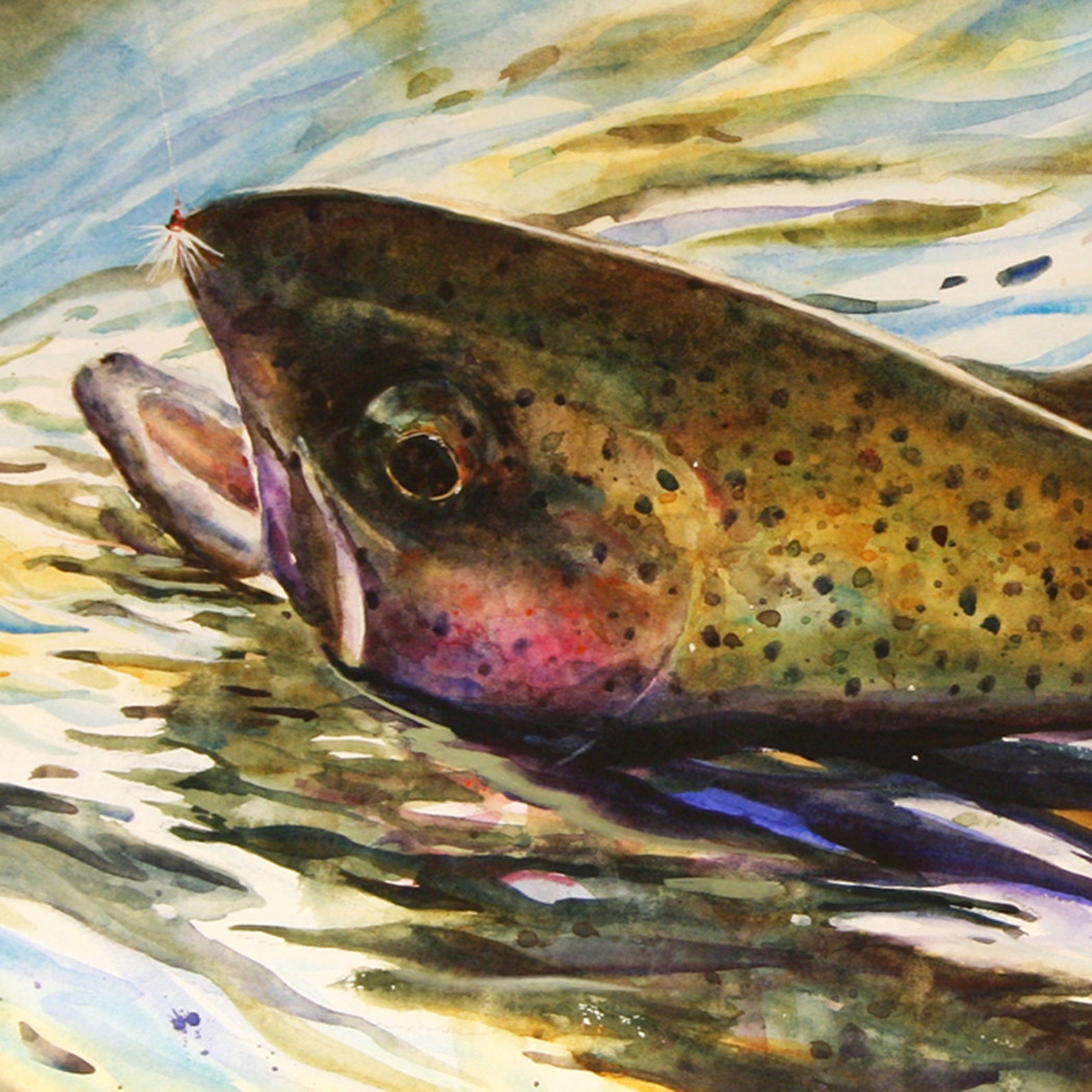 RAINBOW TROUT Watercolor Print Fish Art by Dean Crouser Etsy