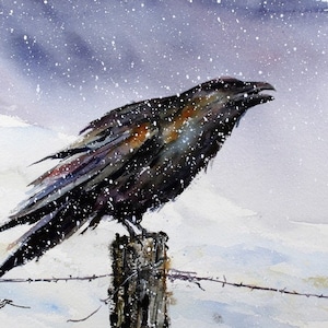 RAVEN Watercolor Bird Art Print by Dean Crouser image 1