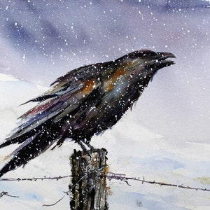 RAVEN Watercolor Snowy Bird Art Print by Dean Crouser