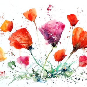 WILDFLOWER POPPY Watercolor Flower Print by Dean Crouser