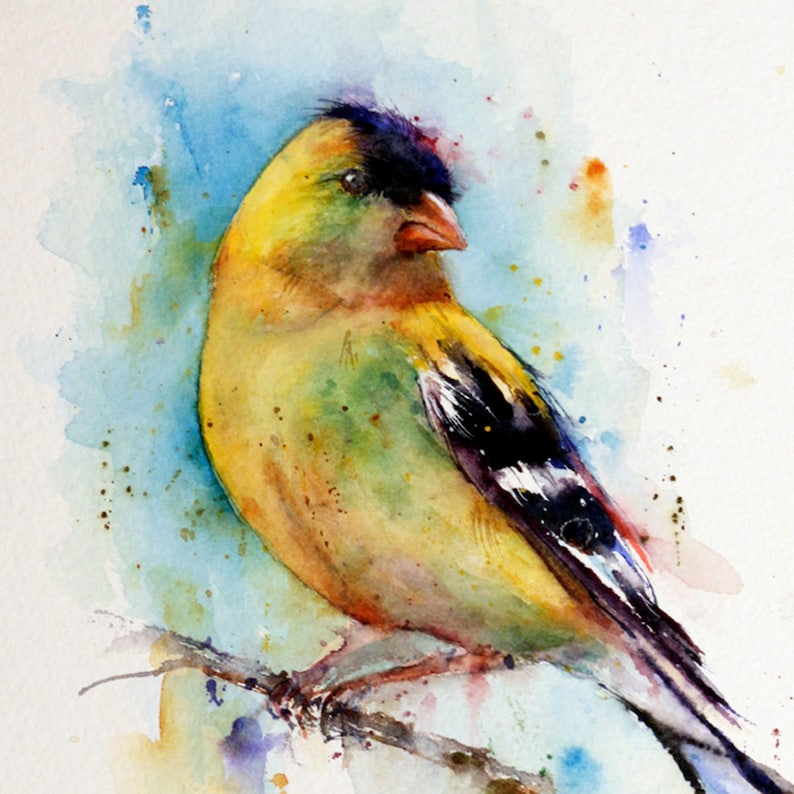 GOLFINCH Watercolor Bird Print by Dean Crouser image 1