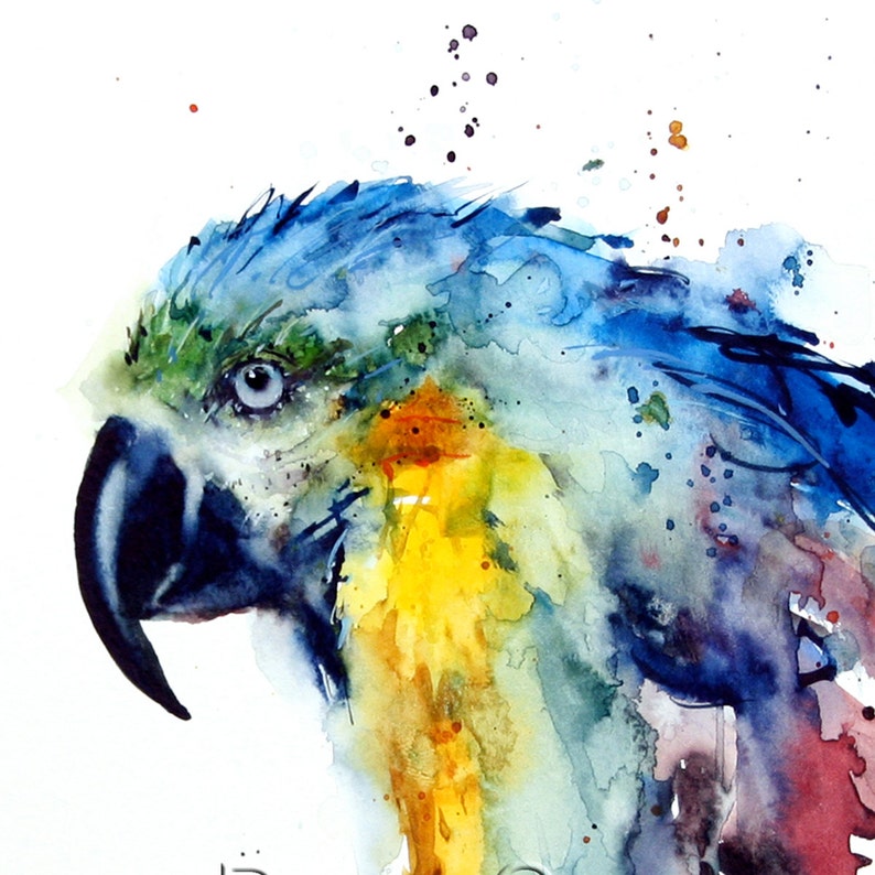 MACAW Watercolor Print by Dean Crouser imagem 1