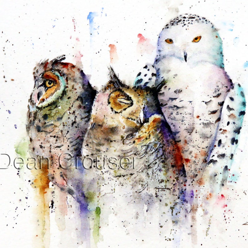 Download Three Owls Watercolor Bird Print Owl Art By Dean Crouser Art Collectibles Painting Vadel Com