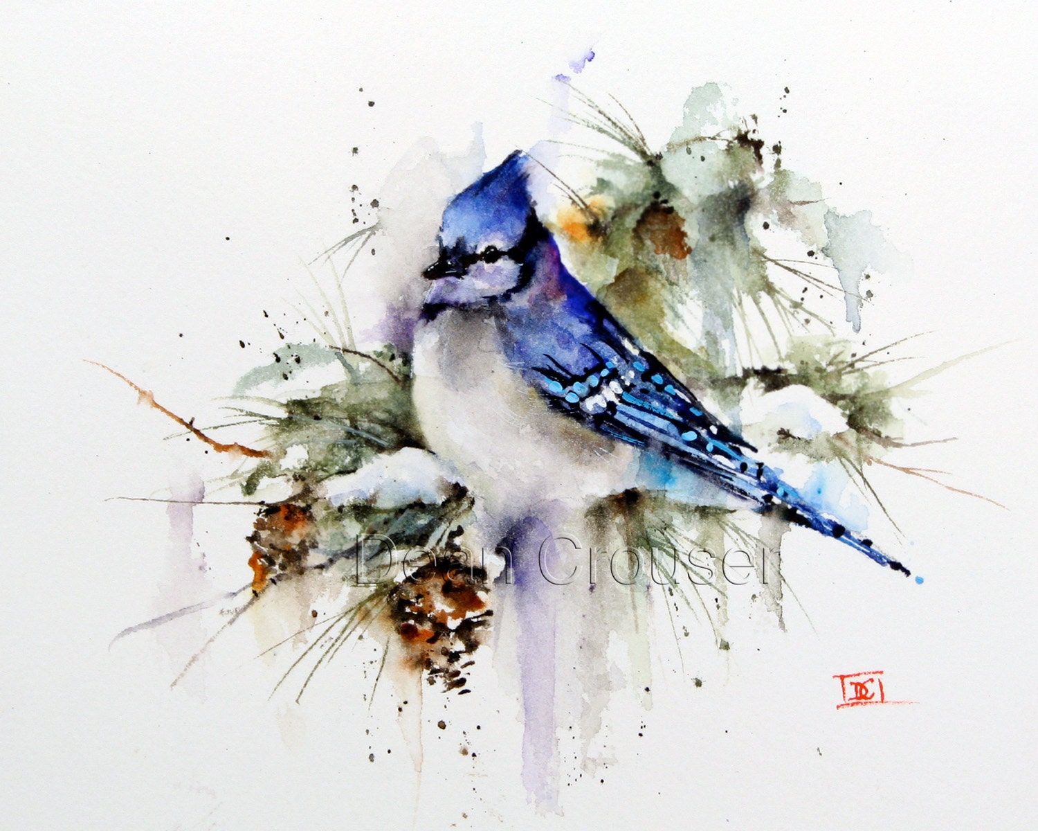 BLUE Jay Winter Watercolor Bird Art Print by Dean Crouser 