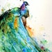 PEACOCK Watercolor BIRD Print, Bird Art by Dean Crouser