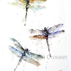DRAGONFLY, Dragonflies, Watercolor Insect Print by Dean Crouser
