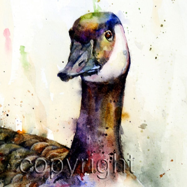 CANADA GOOSE Watercolor Print by Dean Crouser