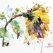 SUNFLOWER Abstract Floral Watercolor Print by Dean Crouser 