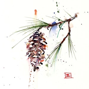 WHITE PINE CONE Watercolor Nature Print By Dean Crouser