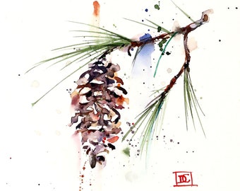 WHITE PINE CONE Watercolor Nature Print By Dean Crouser