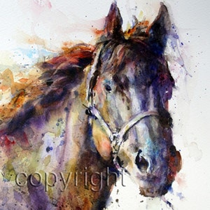 HORSE Watercolor Animal Art Print By Dean Crouser