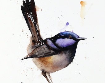 VIOLET SONGBIRD Watercolor Bird Print by Dean Crouser