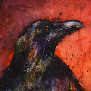 RAVEN Colorful Watercolor Bird Art Print by Dean Crouser