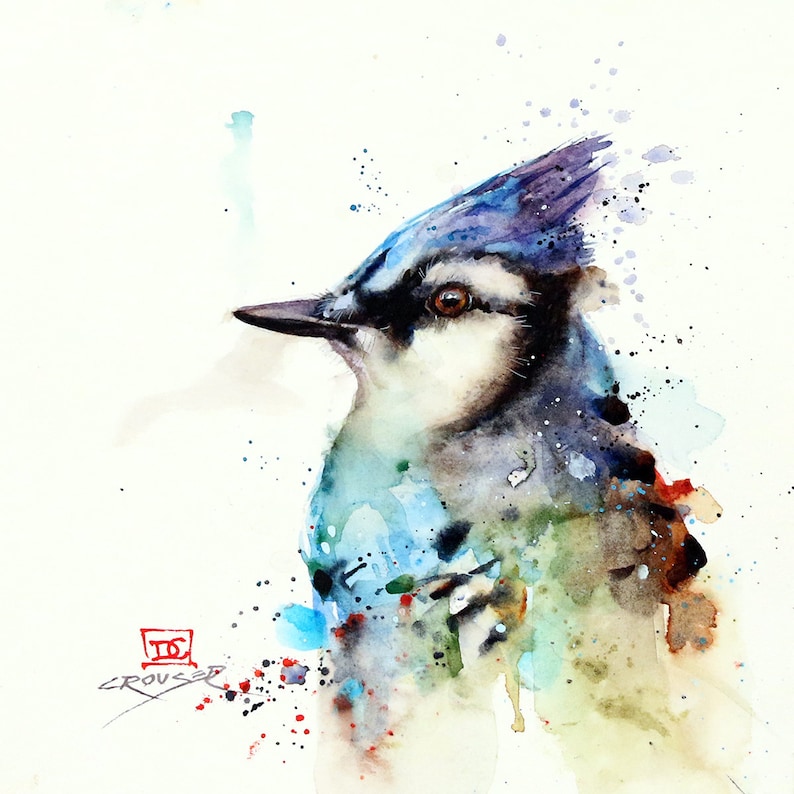 BLUE JAY Watercolor Bird Print by Dean Crouser Etsy