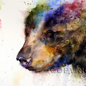 BLACK BEAR Watercolor Nature Art Print, Bear Painting by Dean Crouser