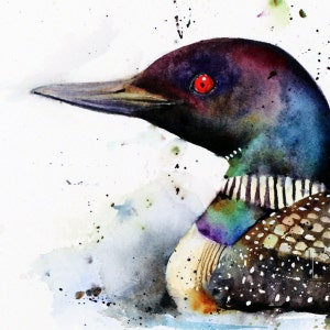 LOON Watercolor Bird Art Print, Loon Watercolor, Bird Painting, by Dean Crouser image 2