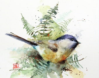 Chickadee and Ferns