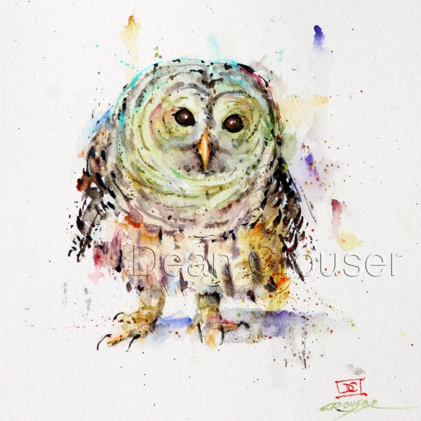 PYGMY OWL Watercolor Print by Dean Crouser