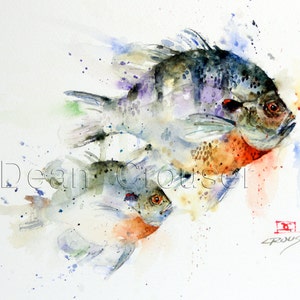 BLUEGILL Sunfish Watercolor Print by Dean Crouser