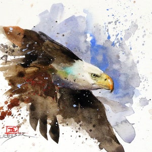 BALD EAGLE Watercolor Bird Print by Dean Crouser