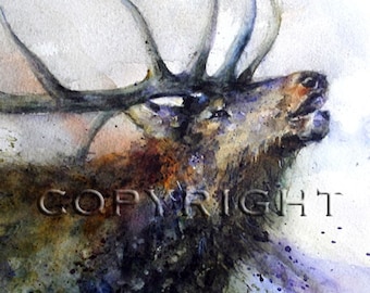 ELK Watercolor Print, Elk Painting by Dean Crouser