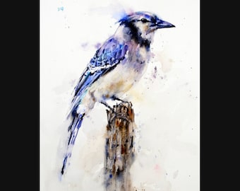 BLUE JAY Print from Watercolor Painting By Dean Crouser