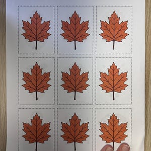 May include: A white sheet of paper featuring a grid of nine identical illustrations of orange maple leaves. Each leaf is enclosed within a rectangular box defined by a black dashed outline, arranged in three rows and three columns on the page.