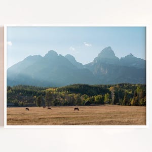 May include: Landscape photograph featuring a mountain range under a clear blue sky. A field of dry grass is in the foreground, with several horses grazing. A forest of green and yellow trees is between the field and the mountains.