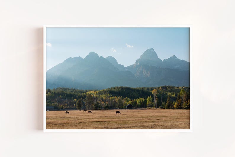 May include: Landscape photograph featuring a mountain range under a clear blue sky. A field of dry grass is in the foreground, with several horses grazing. A forest of green and yellow trees is between the field and the mountains.