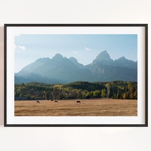 May include: Framed landscape print featuring a mountain range under a blue sky. The foreground shows a field with grazing animals, and a forest separates the field from the mountains. The print is in a black frame.
