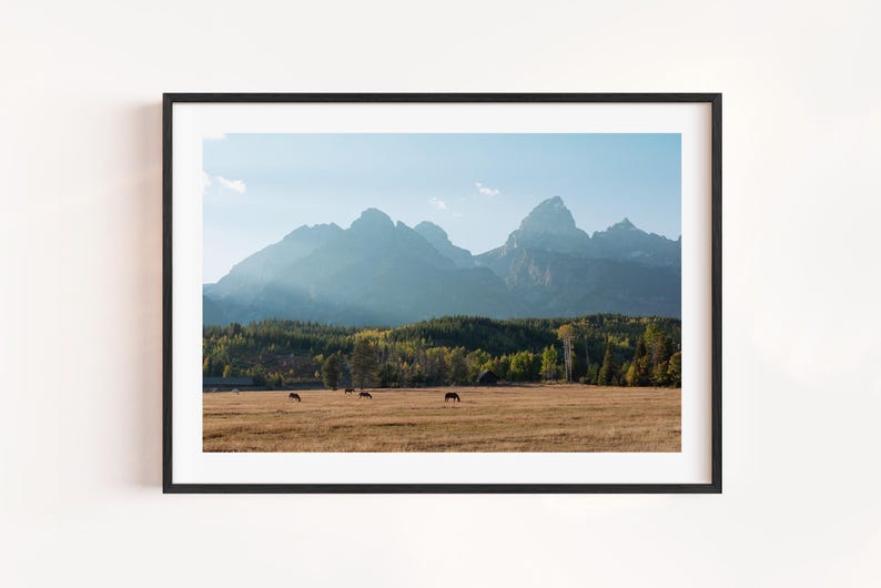 May include: Framed landscape print featuring a mountain range under a blue sky. The foreground shows a field with grazing animals, and a forest separates the field from the mountains. The print is in a black frame.