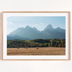 May include: A framed landscape print featuring a mountain range under a blue sky. The foreground shows a field with grazing animals. The image is framed in a light wood frame, suitable for home decor.