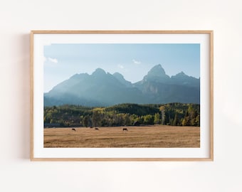 Grand Teton National Park Photo Print: Wyoming Horse Ranch Wall Art