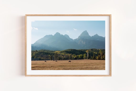 Grand Teton National Park Photo Print: Wyoming Horse Ranch Wall Art