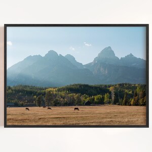 May include: Framed landscape print featuring a mountain range under a clear blue sky. A field of dry grass and trees is in the foreground, with several horses grazing. The print is in a black frame.