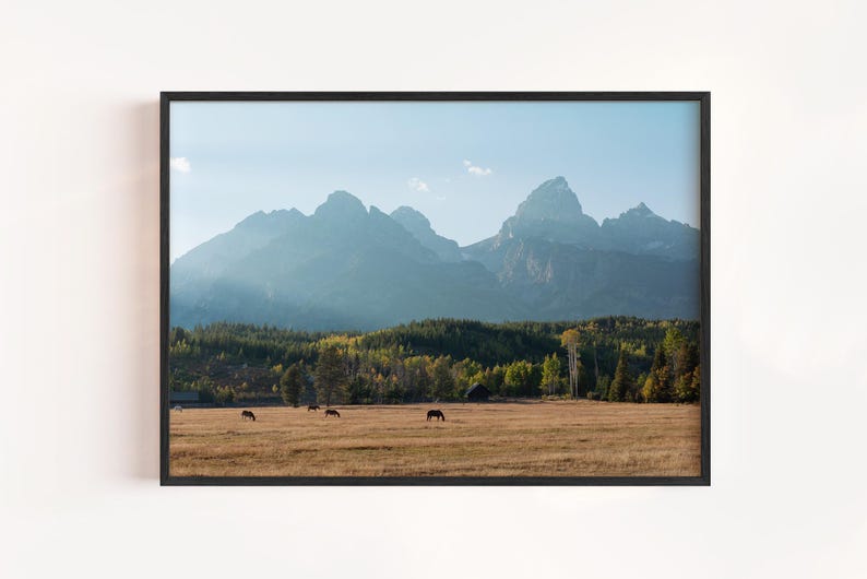 May include: Framed landscape print featuring a mountain range under a clear blue sky. A field of dry grass and trees is in the foreground, with several horses grazing. The print is in a black frame.