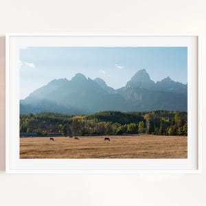May include: A framed landscape print featuring a mountain range under a blue sky. The foreground shows a field with several animals grazing. The middle ground is a forest of green and yellow trees.