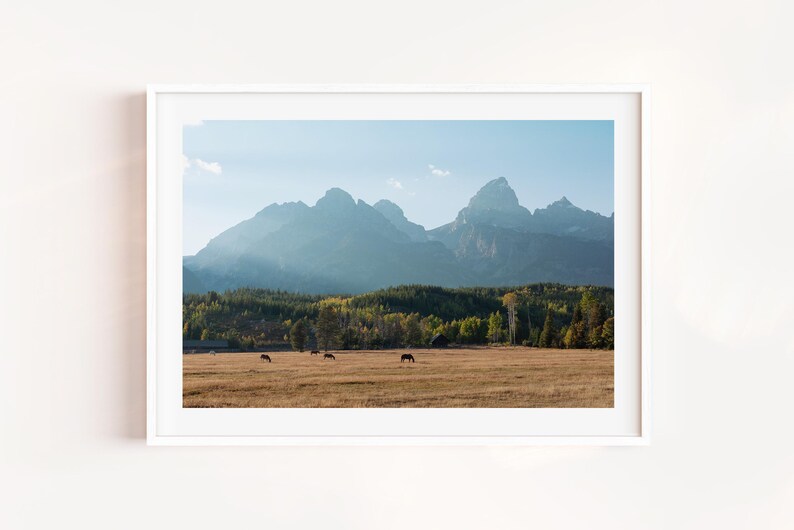 May include: A framed landscape print featuring a mountain range under a blue sky. The foreground shows a field with several animals grazing. The middle ground is a forest of green and yellow trees.