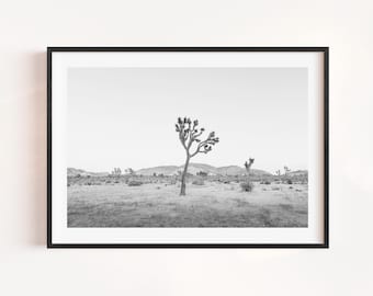Black and White Joshua Tree Print: California Desert Photography, Boho Decor