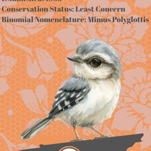 May include: An illustration of the Tennessee state bird, the Mockingbird, on a background with text. The bird is gray, white, and black, perched on a gray silhouette of the state of Tennessee. Text includes "Tennessee Official State Bird: Mockingbird."