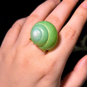 May include: A unique ring featuring a large, green snail shell design. The shell has a spiral pattern with shades of green and a pearlescent center. The ring is set on a gold-colored band, creating a striking contrast.